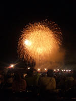DVC00169.JPG