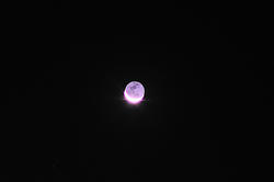 20080927123539.jpg