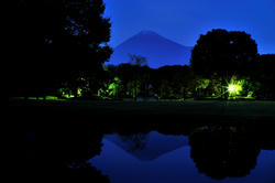 081111-4.jpg