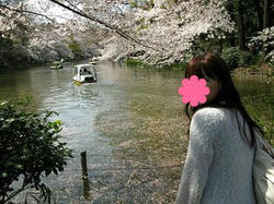 sakura1.JPG