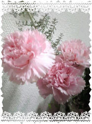 Image131.jpg