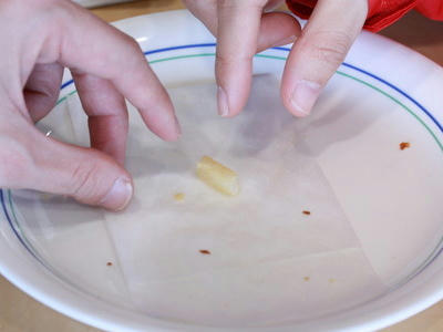 4372d3e0.jpg