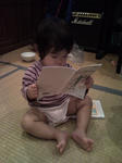 説明書