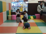 ケヤキで