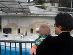 岡公園1