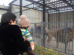 岡公園3