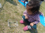 BBQ4