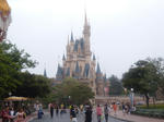 TDL12