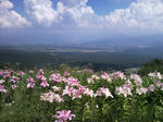 清里5