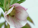 P1010015.JPG