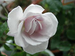 P1010001.JPG