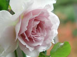 PB110007.jpg