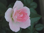 35731475_5.jpg