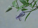 P10100060.JPG