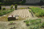 DSC00797.JPG