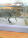 Image0004.jpg