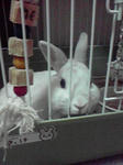 2009072720510000.jpg