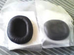 p1.jpg