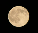 moon01.jpg
