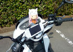 pcx04.jpg
