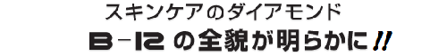 クリスマスセールの目玉