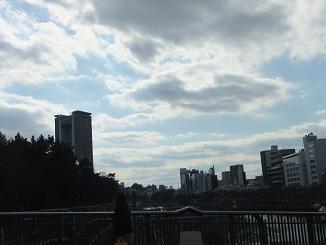 世界一初恋