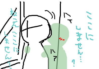 fimg_1237118364.png