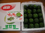 20070918_2.JPG