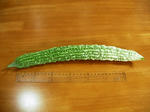 0ef9b1a6.JPG