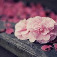 クリスタルに玉座ごと封じこ