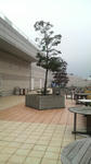 P1000056.JPG