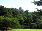 RIMG0244.JPG