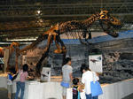 RIMG0271.JPG