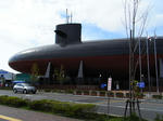 RIMG0313.JPG