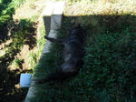 RIMG0407.JPG