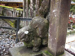PA010596.JPG