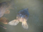 PA181735.JPG