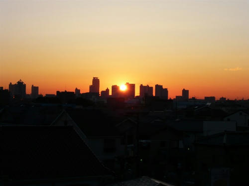 P1000011.jpg