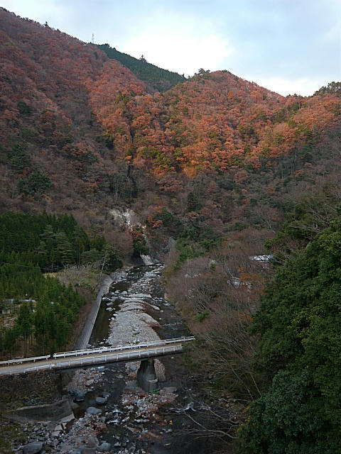 P1010042.jpg