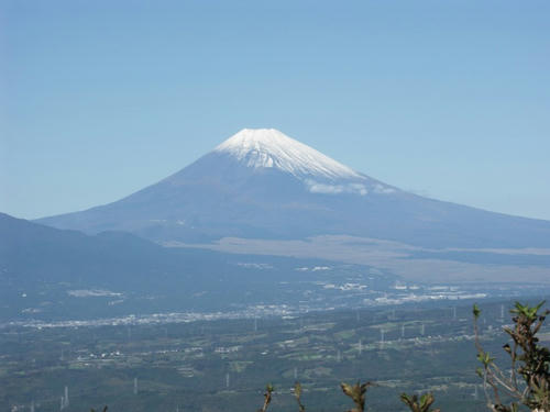 PICT3106-1.jpg