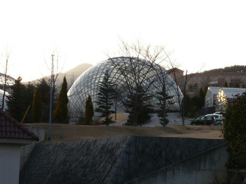 P1010371.jpg