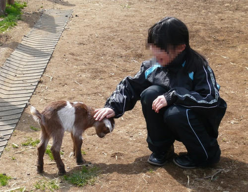 P1010434.jpg