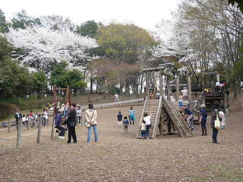 P1010485.jpg