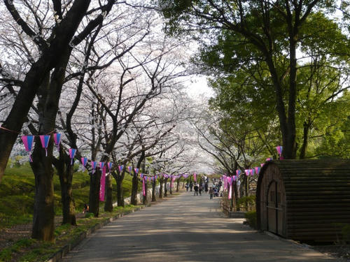 P1010496.jpg