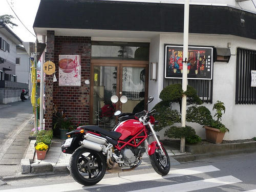 P1010510.jpg