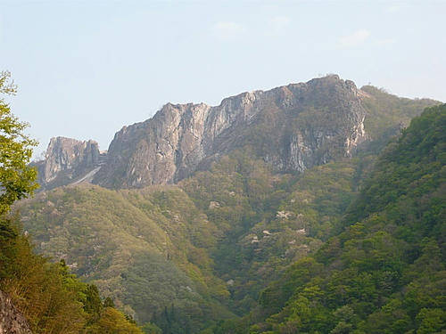 P1010754.jpg