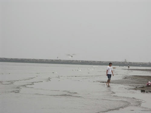 PICT4725.jpg