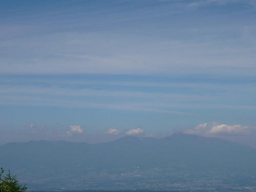 P1020173.jpg