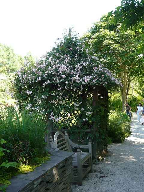 P1020229.jpg