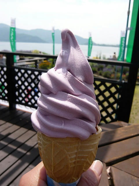 P1020287.jpg